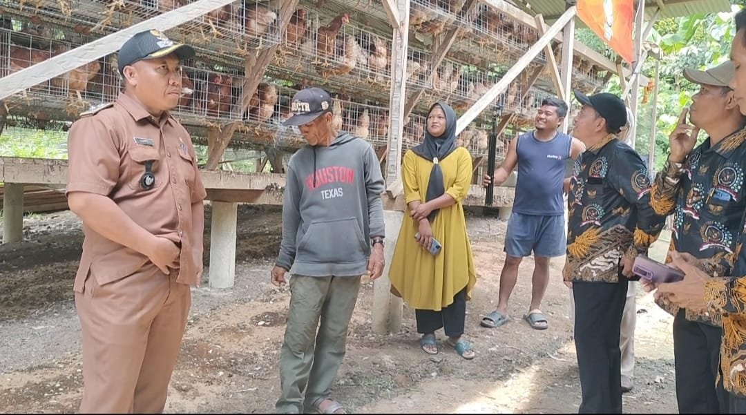BUMDes Mitra Mandiri Desa Sanggi Fokus Kembangkan Budidaya Ayam Petelur untuk Dukung Ketahanan Pangan