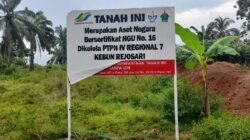 Masyarakat Adat Halangan Ratu Nilai Pemasangan Plang oleh PTPN I Regional 7 Tidak Tepat Lokasi