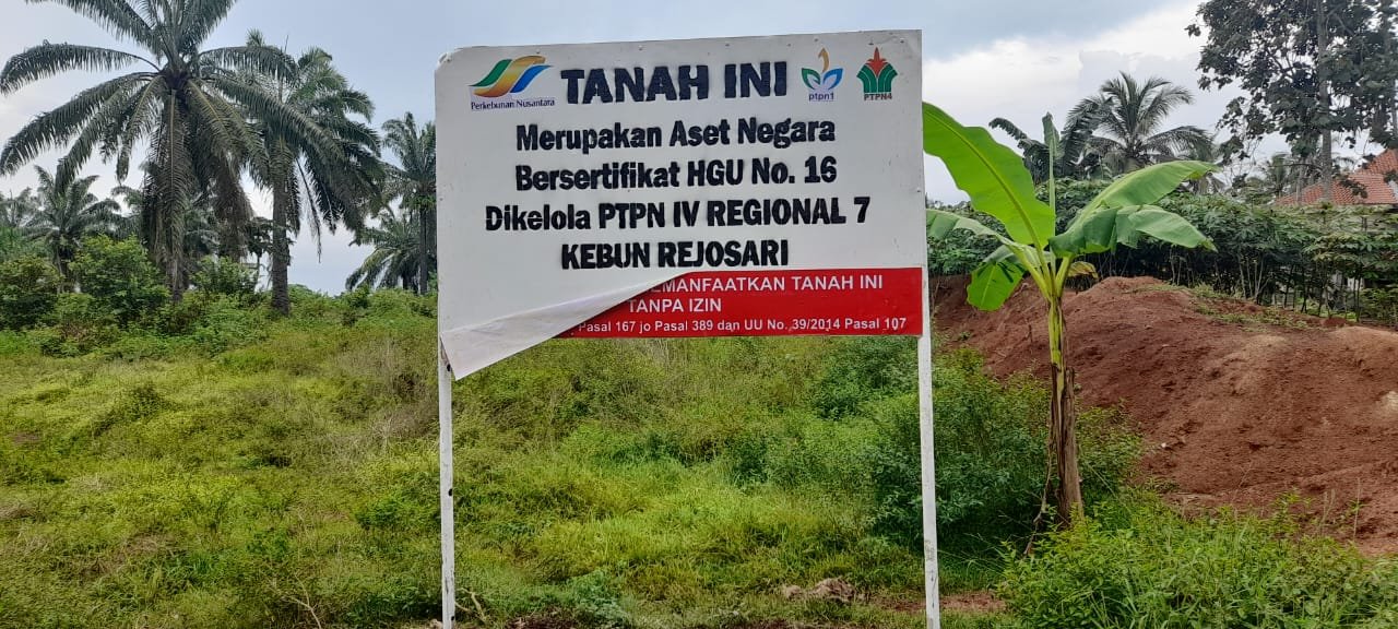 Masyarakat Adat Halangan Ratu Nilai Pemasangan Plang oleh PTPN I Regional 7 Tidak Tepat Lokasi
