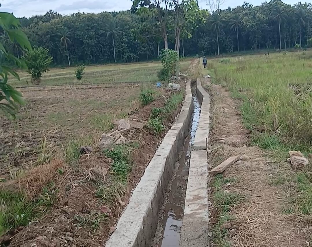 *Petani Dua Desa Gembira, Bupati dan Wakil Bupati Pesawaran Rehabilitasi Saluran Irigasi Way Sukaraja*