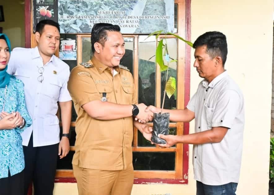 _Pemkab Pesawaran Perluas Produksi Kakao Lewat Bantuan 50 Ribu Bibit untuk Kelompok Tani Pesawaran – Selasa, 23 Desember 2025_