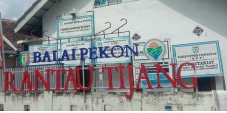 Diduga Sarat Korupsi! Proyek Dana Desa Rantau Tijang 2023–2024 Disorot, Pemerintah Pekon Bungkam Saat Dikonfirmasi