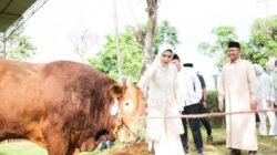 Idul Adha 1447 H, Bupati Nanda Indira Ajak Masyarakat Perkuat Kepedulian dan Semangat Berkurban